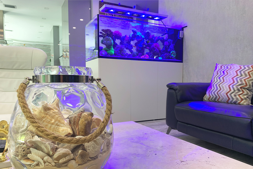 Costumer's Aquarium-Living Room. Coconut Grove