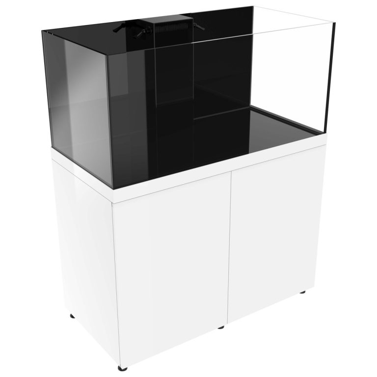 150 gallon rimless aquarium with white cabinet angled side view