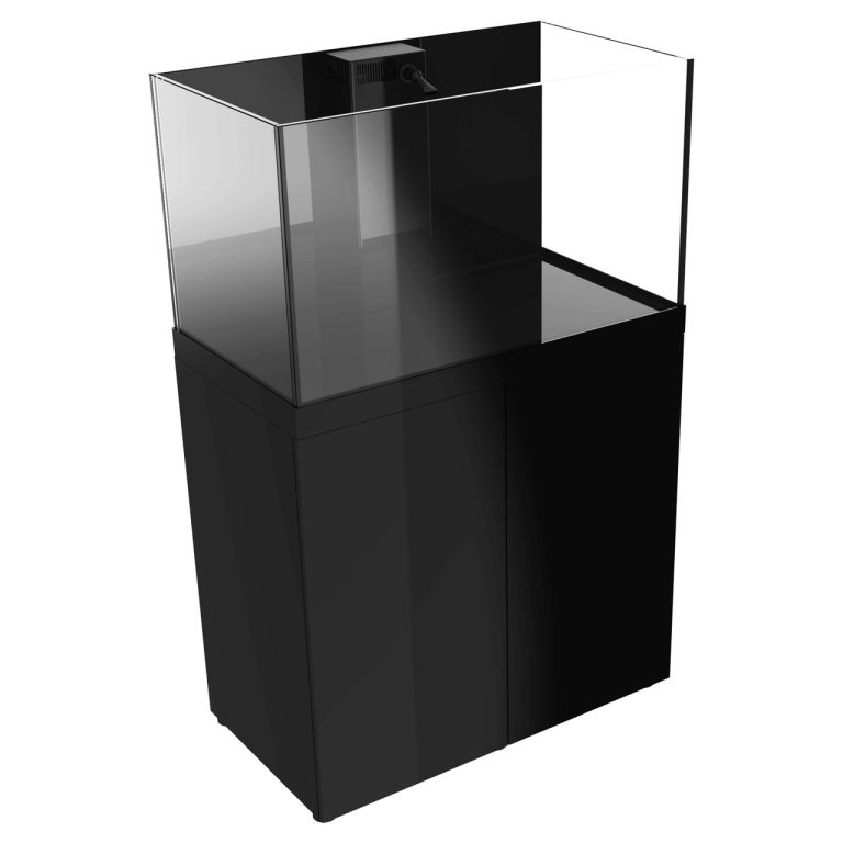 ProStar Rimless V2 90 gallon regular aquarium with black stand front right angled view